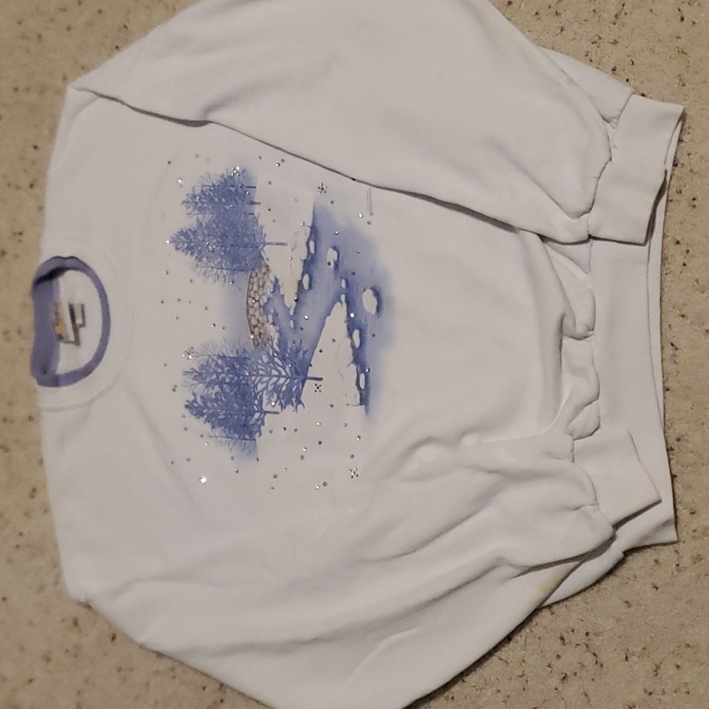90s vintage winter land morning sun crewneck